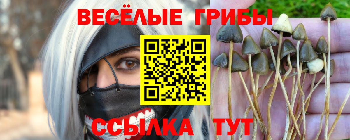 Гуково  Псилоцибиновые грибы ЛСД  Вход с VPN 